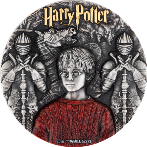 WYSTAWIANIE MONET (27)